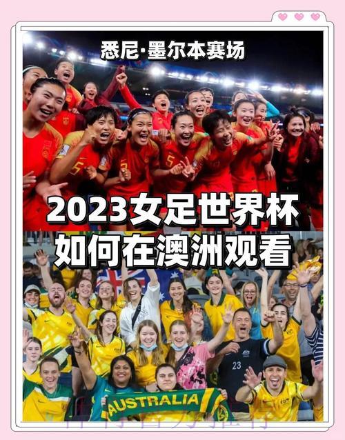 世界杯平台介绍